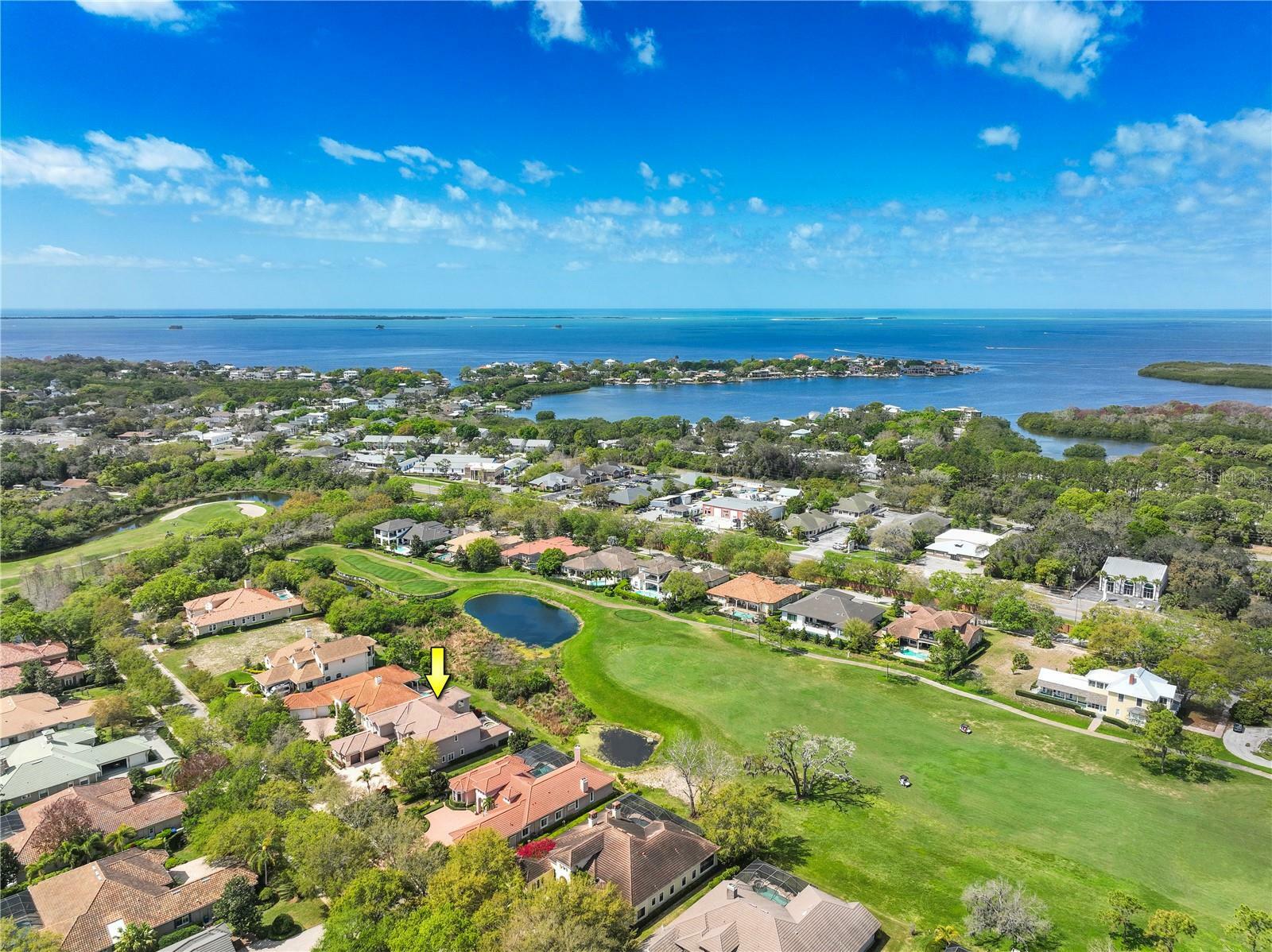 Property Photo: 898 Skye Lane FL 34683