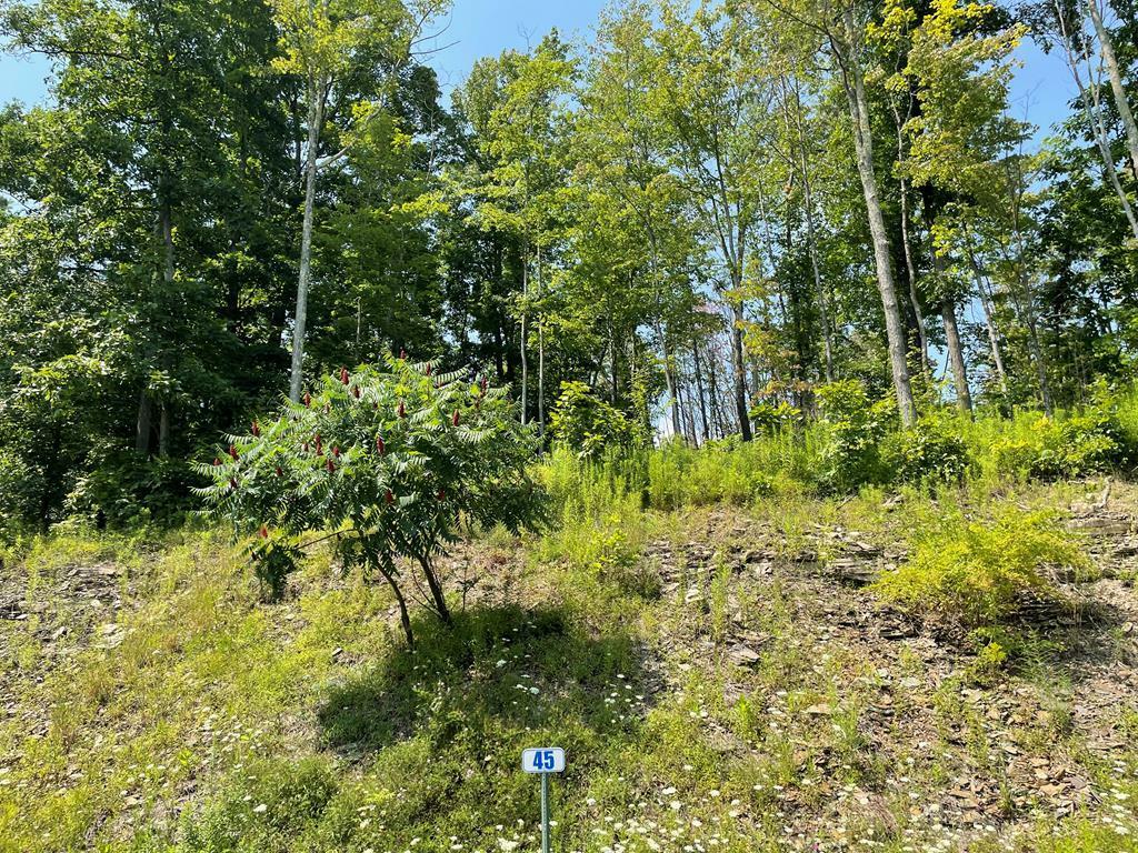 Property Photo:  Lot 45 Hemlock Hills Rd  PA 18848 