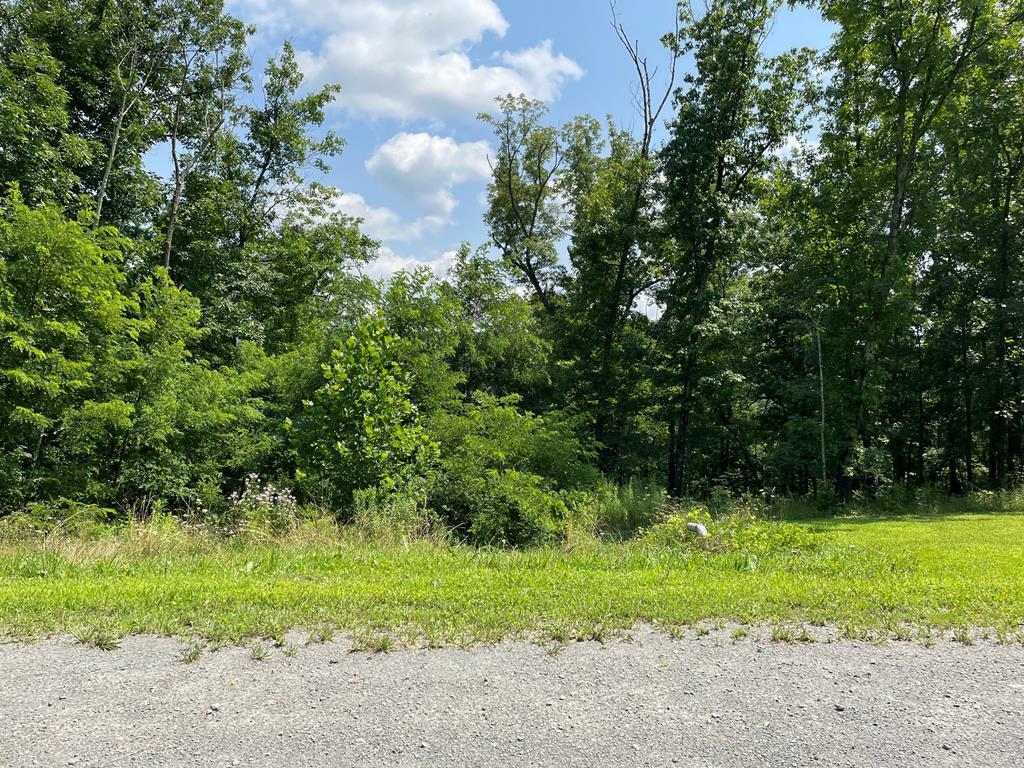 Property Photo:  Lot 26 Hemlock Hills Rd  PA 18848 