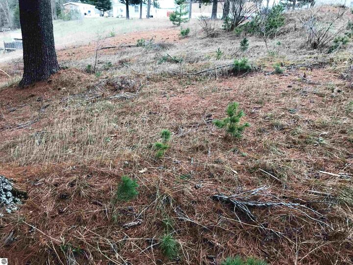 Property Photo: 00 Howard Street MI 49668