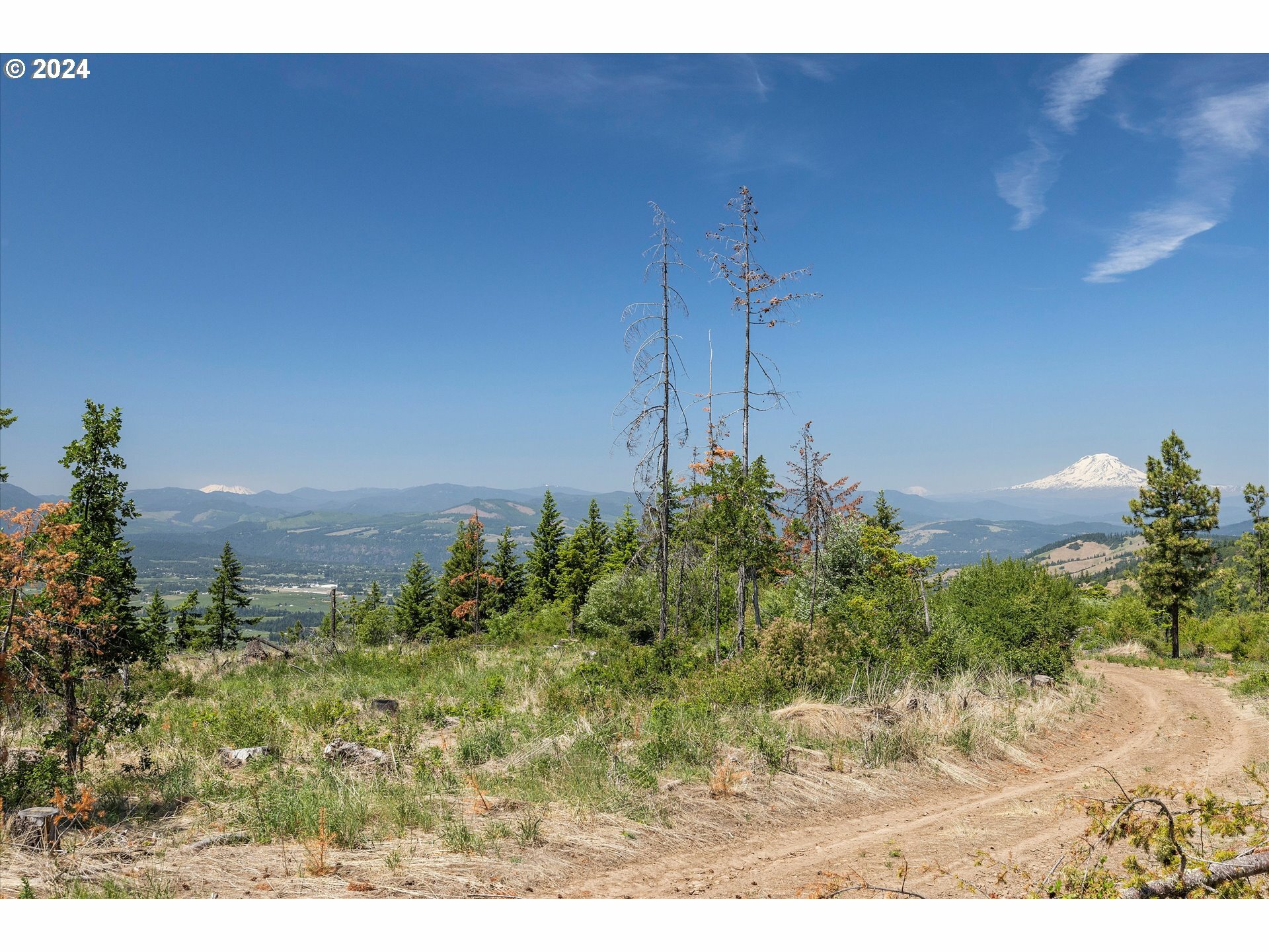 Property Photo:  Fir Mountain Rd  OR 97031 