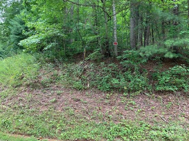 Property Photo:  Lot 49-50 McKenzie Way S  NC 28762 