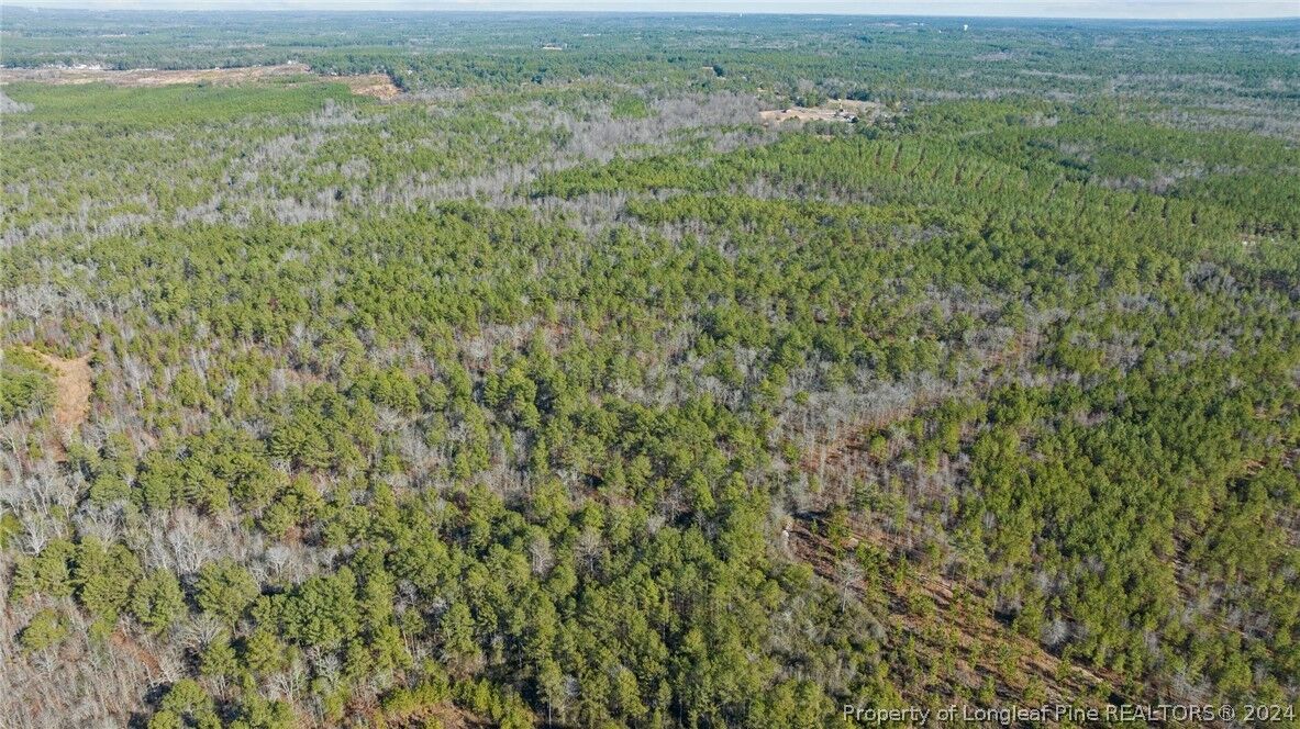 Property Photo:  McKoy Town Off Road Lot 11A  NC 27330 