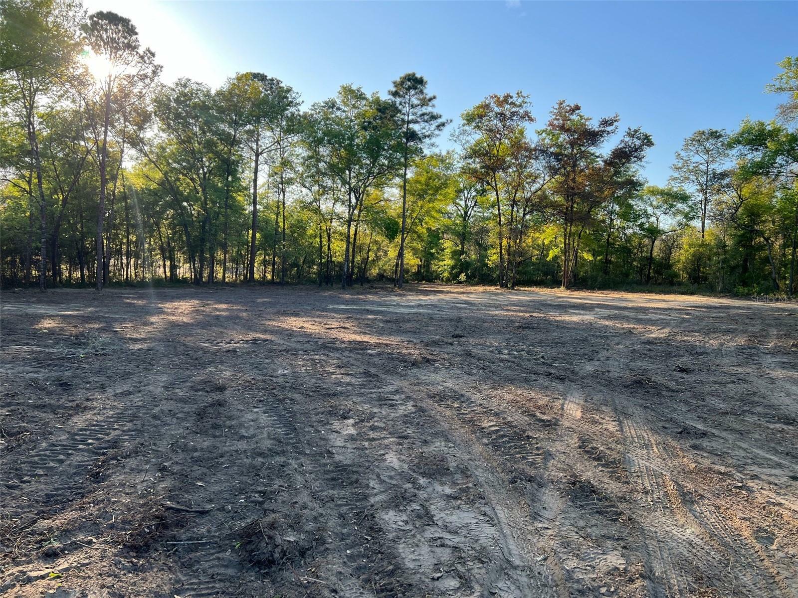 Property Photo:  Tbd NE 95th Avenue  FL 32621 