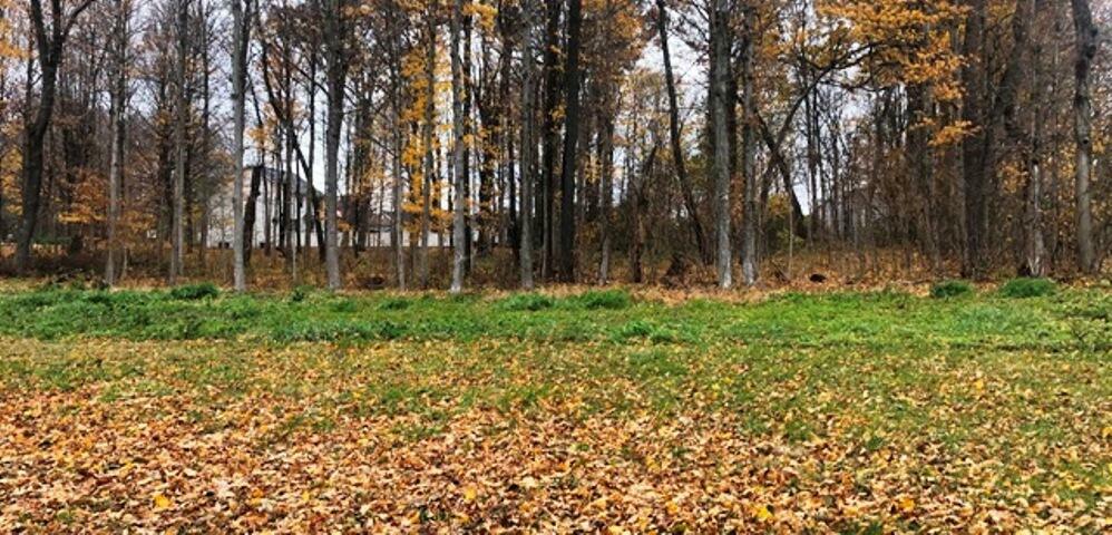 Property Photo: 2830 N Morning Glory Lot 39 Avenue IN 46371