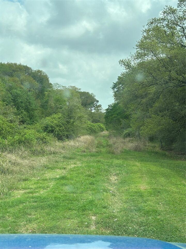 Property Photo:  0 Holly Lane  TX 77414 