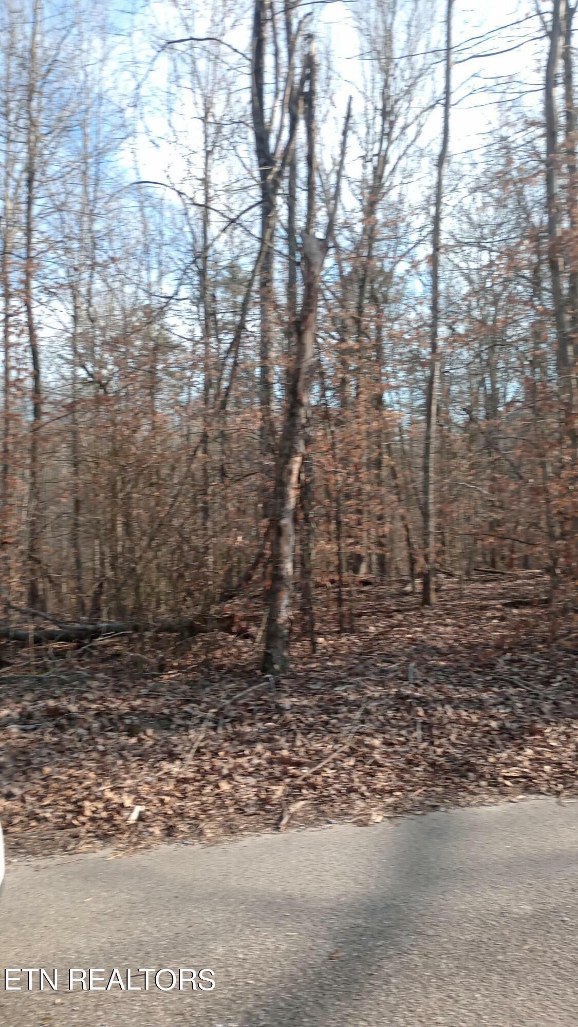 Property Photo:  Carl Griffith Rd  TN 37852 