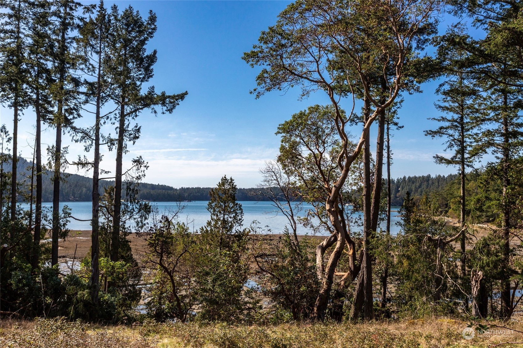 Property Photo:  0 Lot 1-B Orchard Lane  WA 98250 