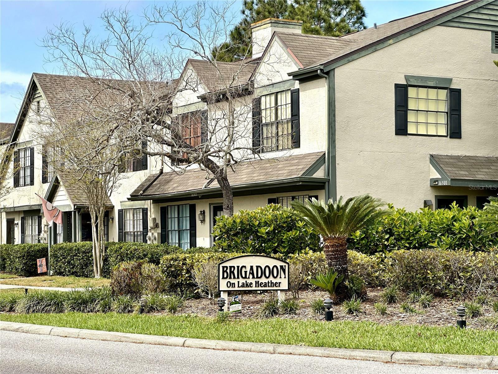 Property Photo: 16518 Brigadoon Drive FL 33618