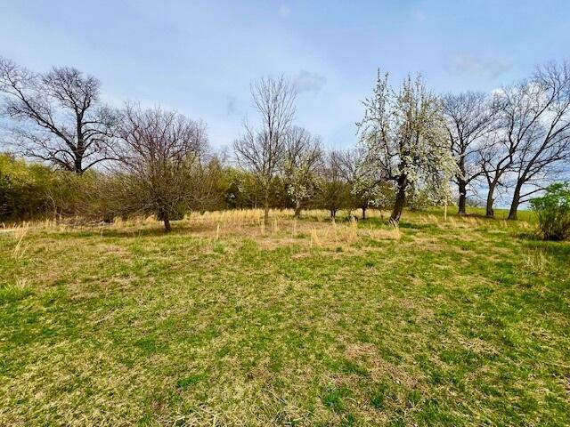 1138 County Road 8120  West Plains MO 65775 photo