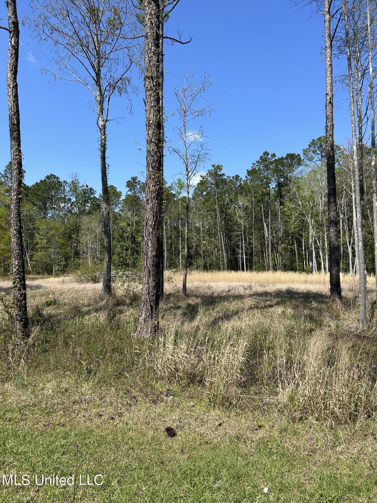 Property Photo:  Riverwalk  MS 39540 