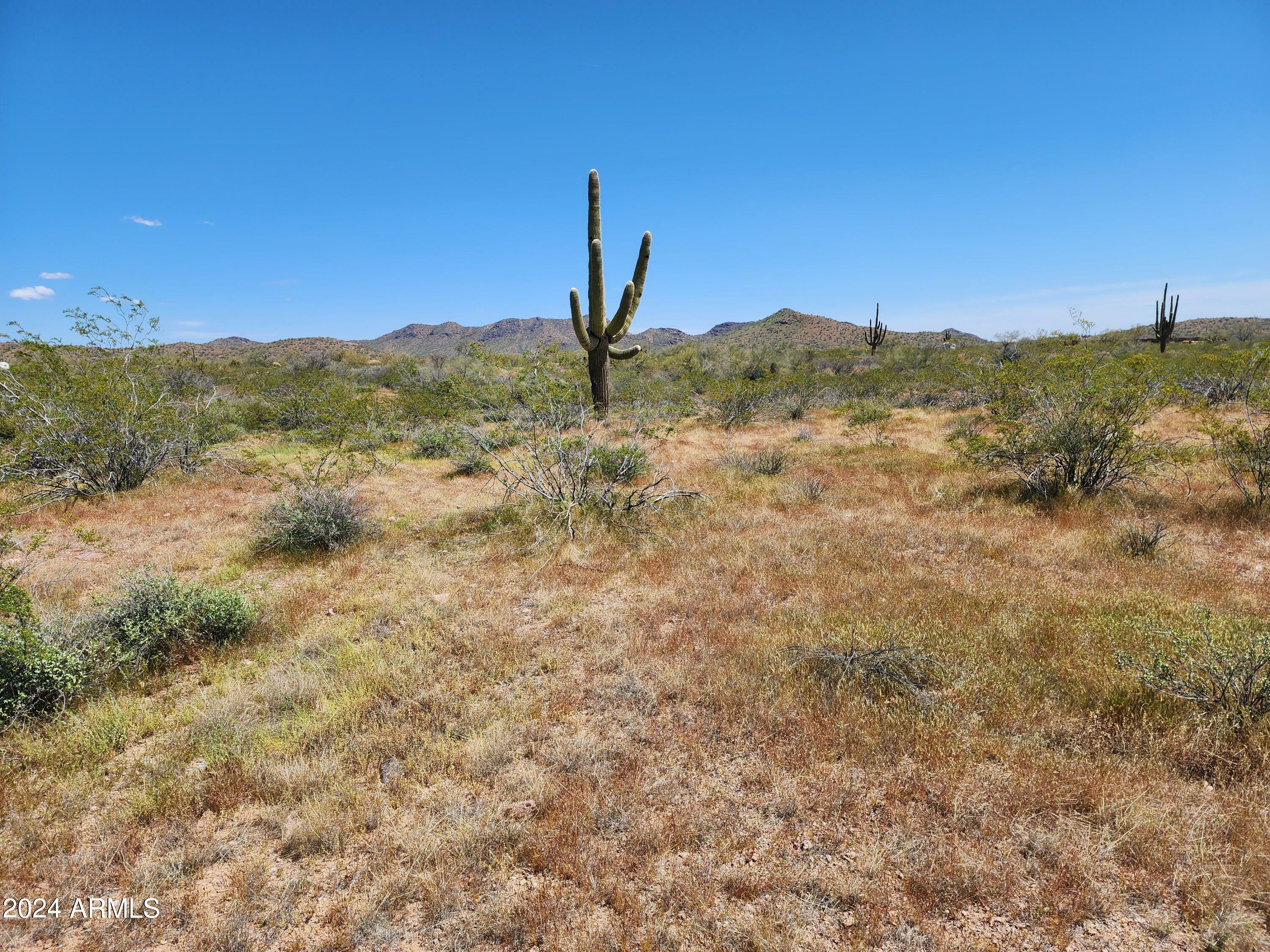 Property Photo:  000 N 315th Avenue 97  AZ 85361 