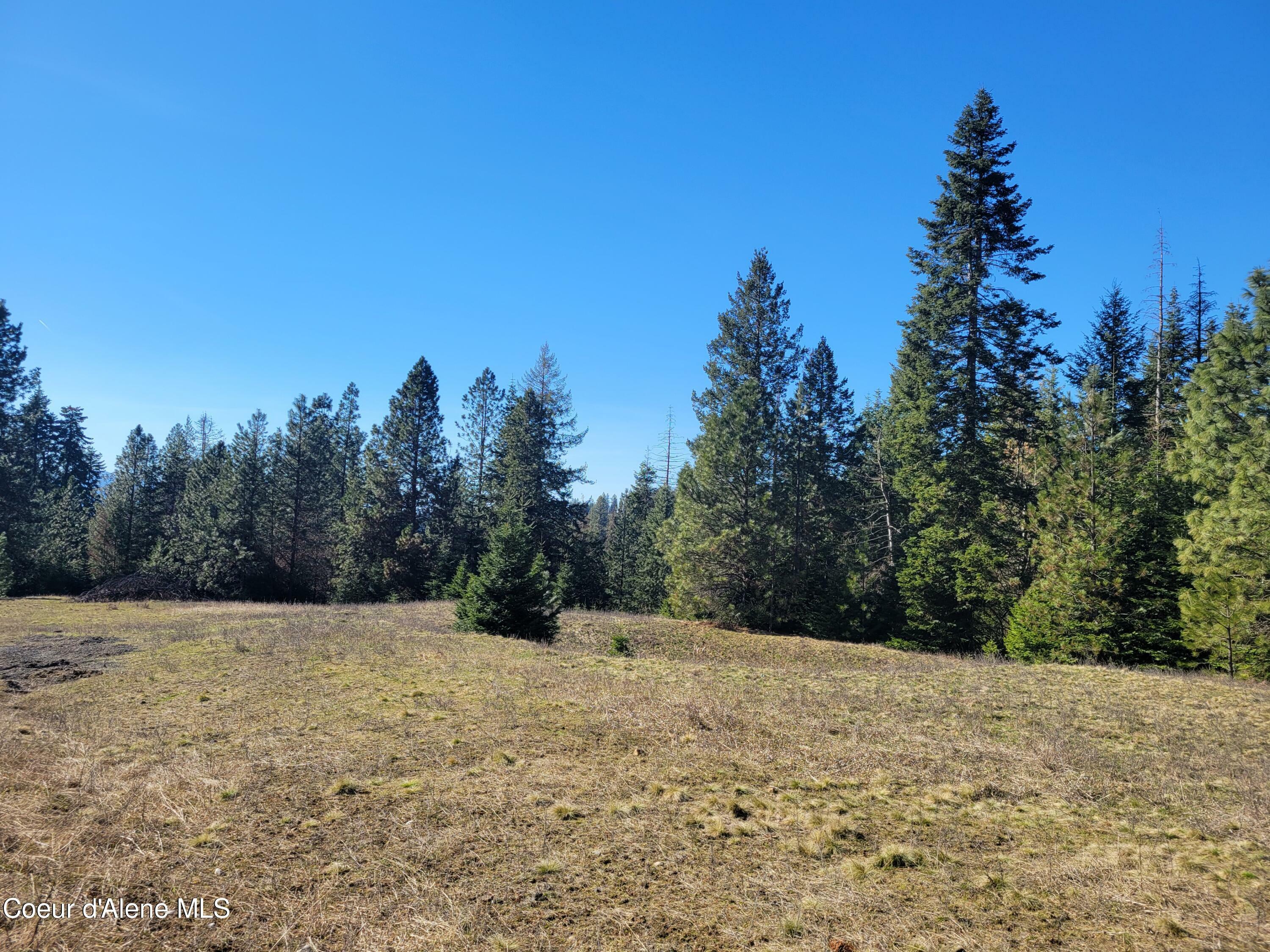 Nka E Hanna Lane Lot 1  Coeur D'Alene ID 83814 photo