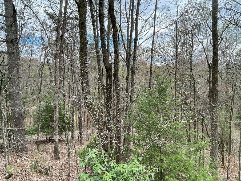 Lot 517 Chickasaw Drive  Ellijay GA 30540 photo