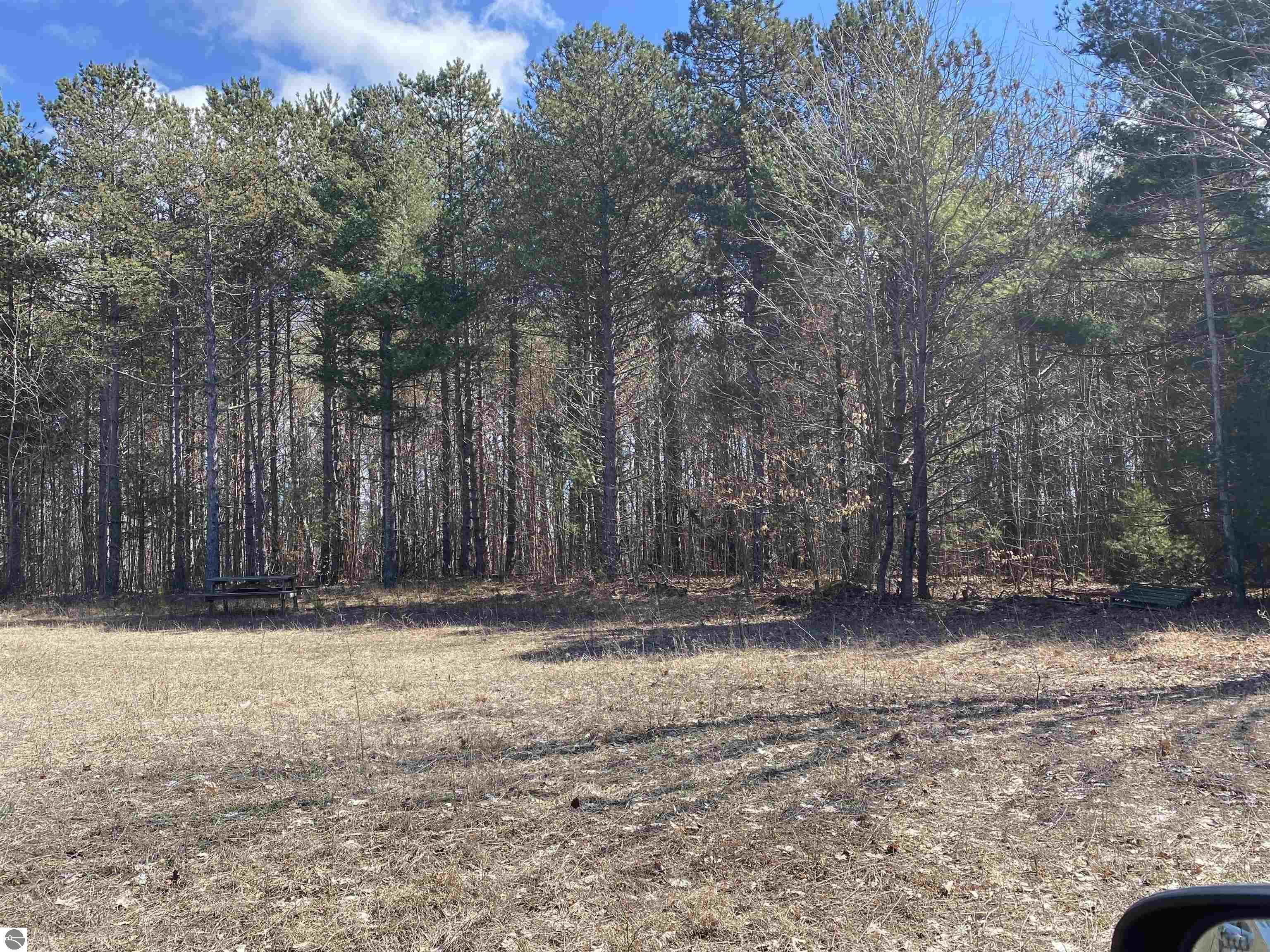 Property Photo:  Sliverville Road  MI 49635 