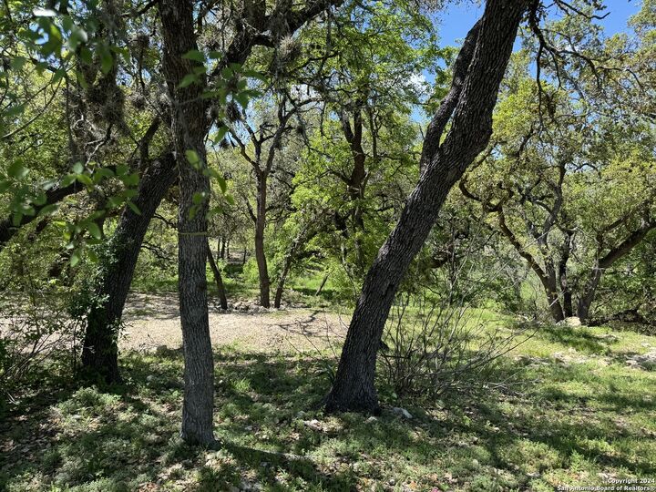 56 Eton Green Cir  San Antonio TX 78257 photo