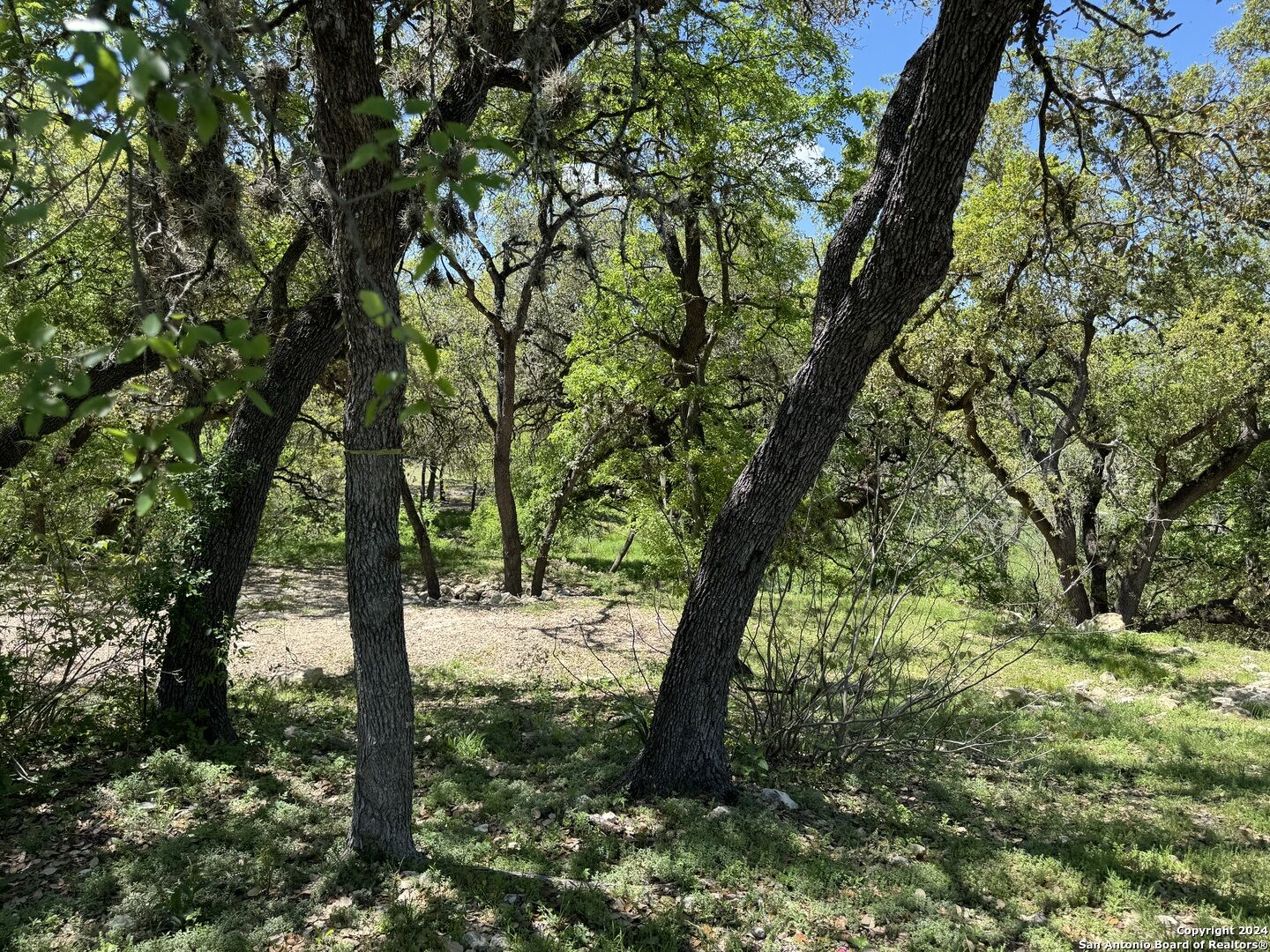 Property Photo: 56 Eton Green Cir TX 78257