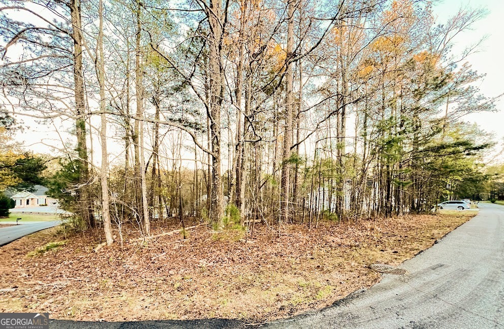Property Photo: 4161 Golfview Drive GA 30180