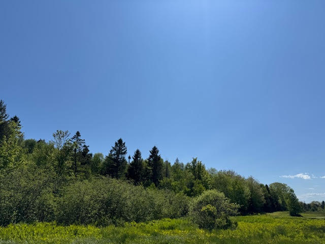 Property Photo:  104 County Road  ME 04631 