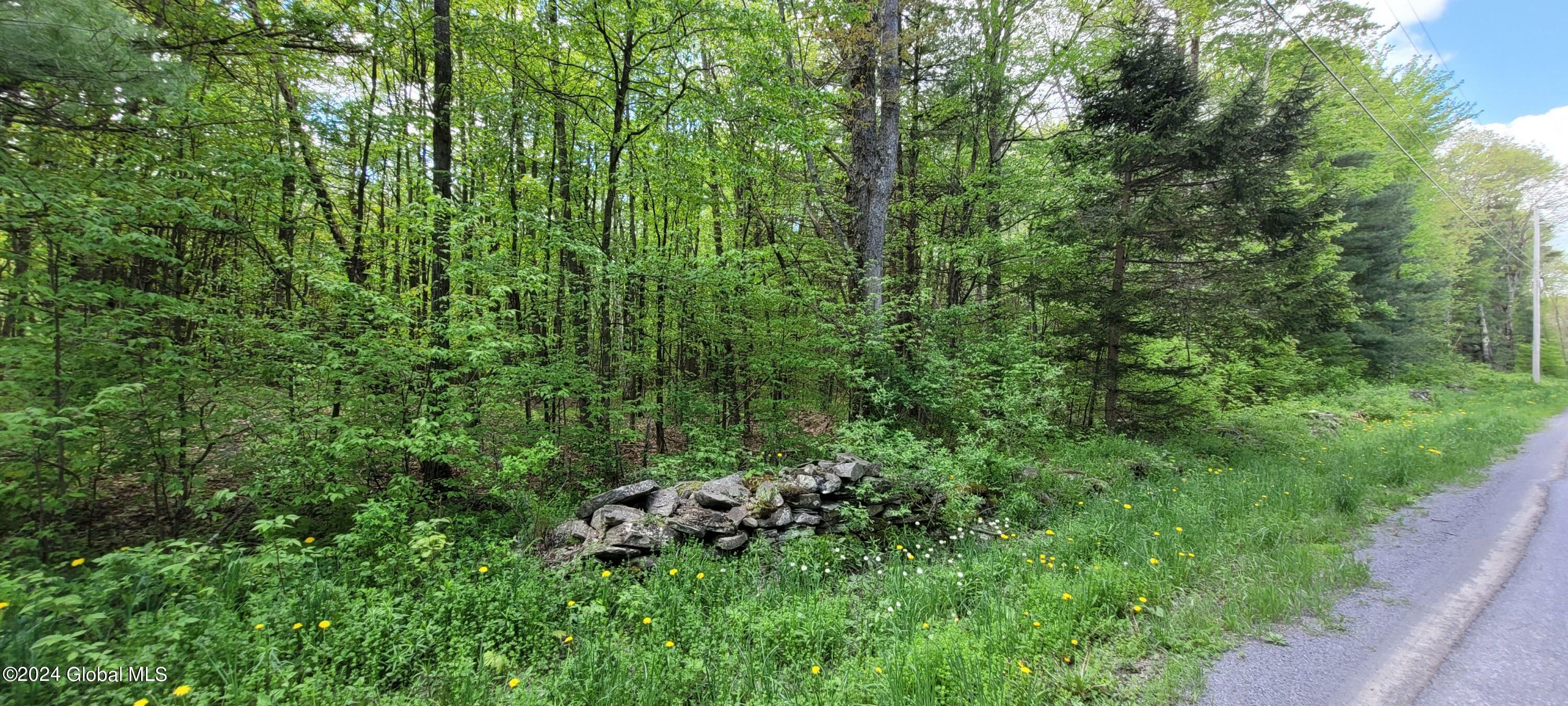 Property Photo:  L14 Blenheim Hill Road  NY 12131 