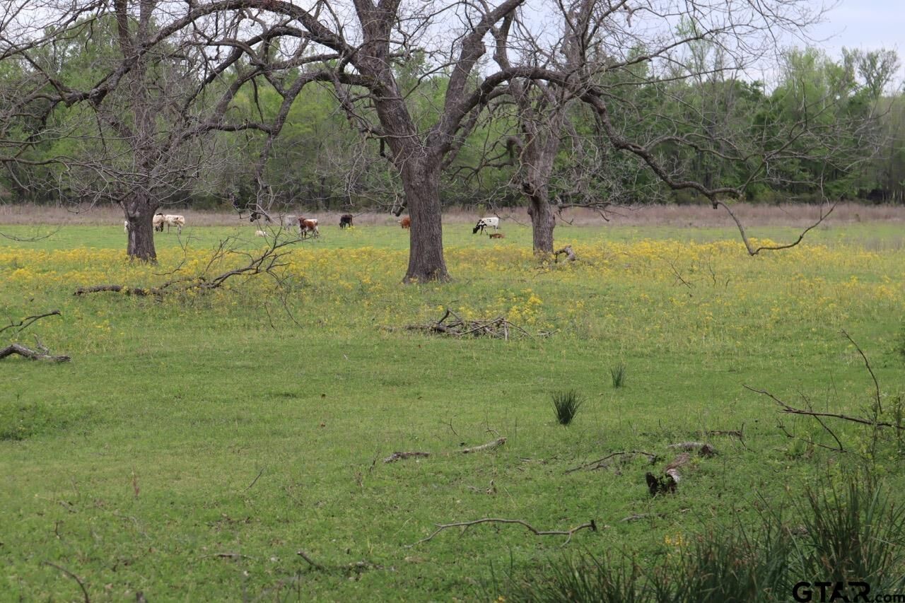 Property Photo:  Tbd Rs County Road 2365  TX 75410 
