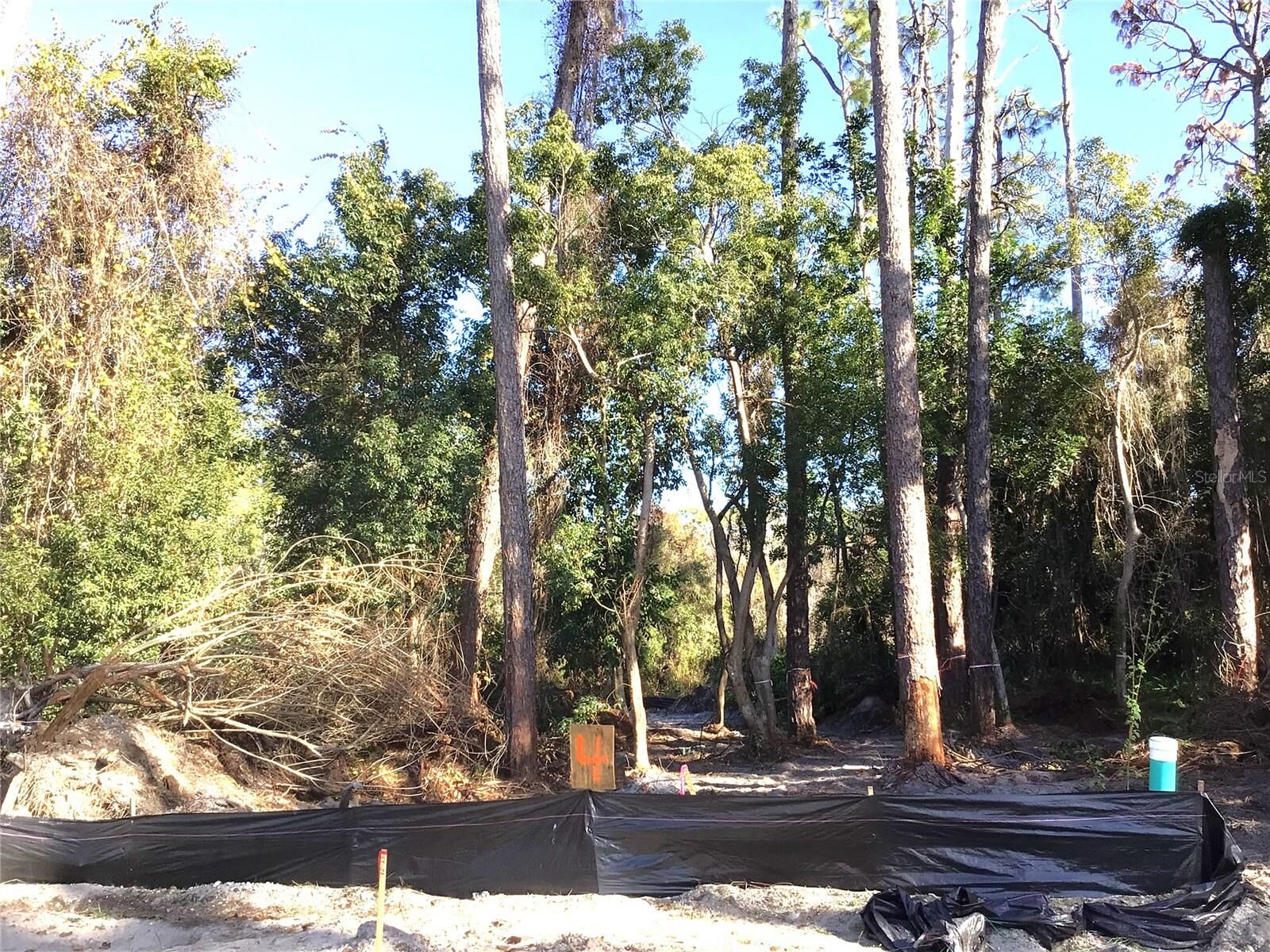 Property Photo:  1305 Almaria Court  FL 34683 