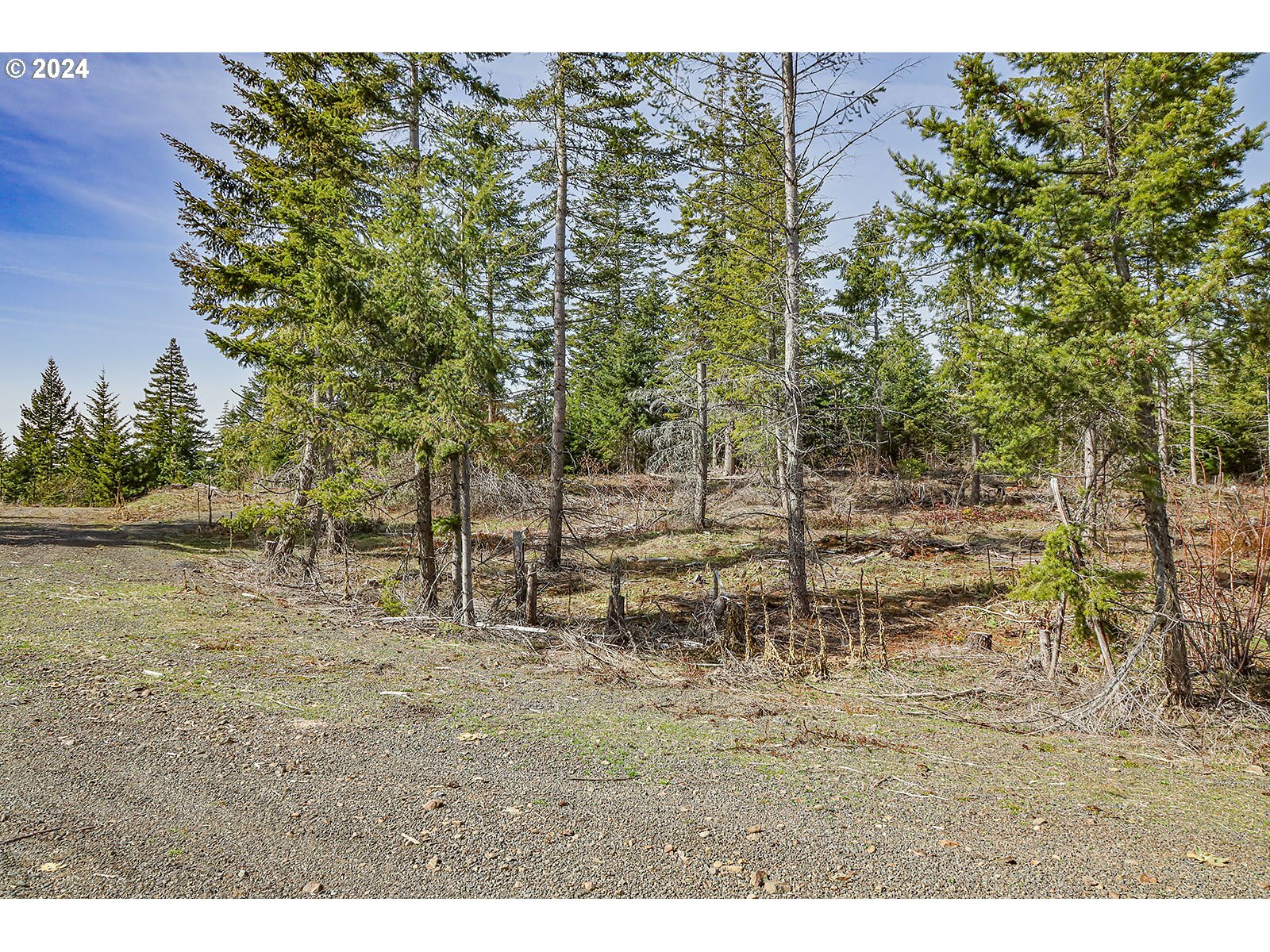 Property Photo:  Lot 2 Plantation Dr  WA 98672 