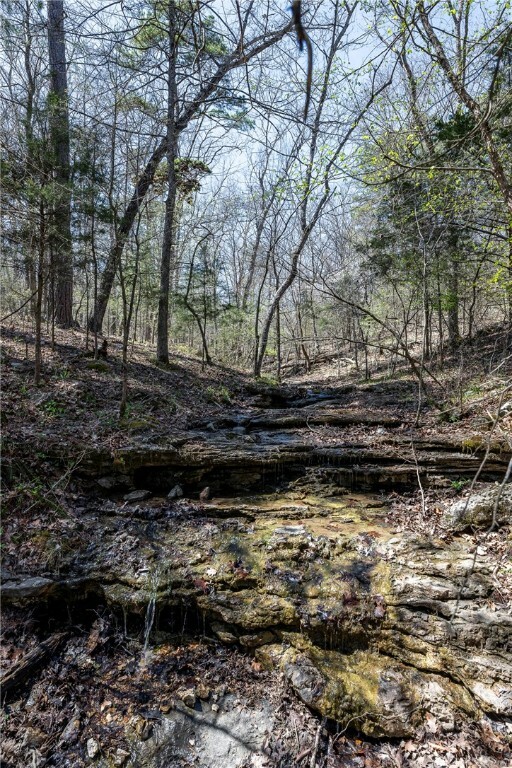 Property Photo:  1172 County Road 3402  AR 72632 