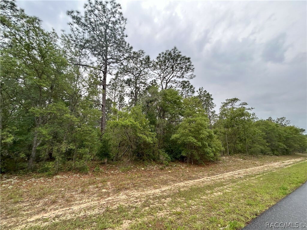 Property Photo:  1594 W Donner Drive  FL 34434 