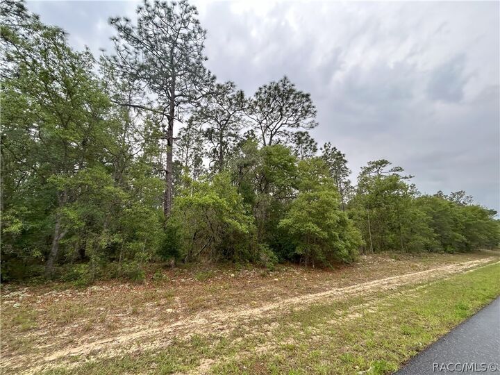 Property Photo:  1594 W Donner Drive  FL 34434 