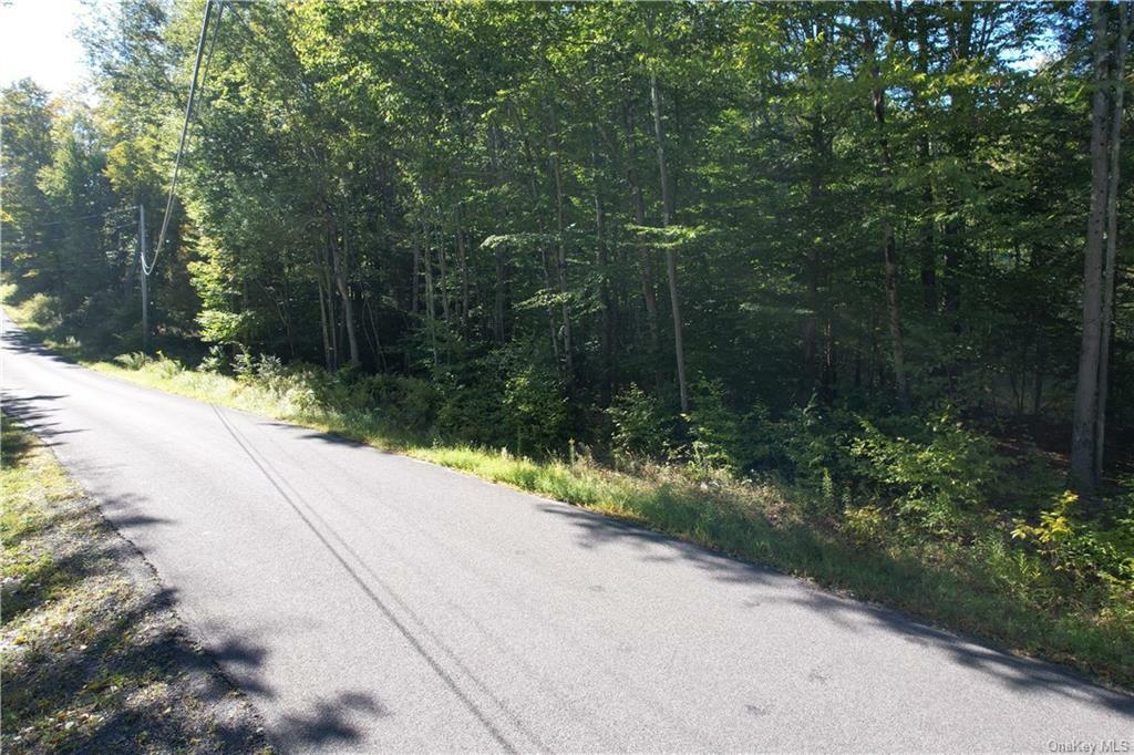 Property Photo:  00 Hysana Road  NY 12733 