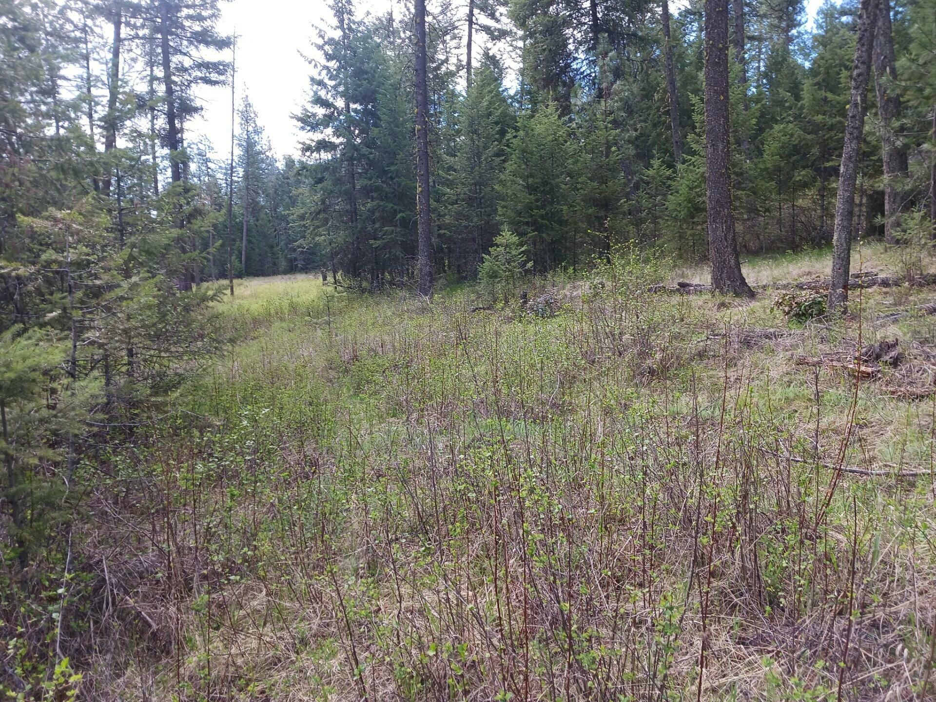 Property Photo:  79X Mahoney Rd  WA 99114 