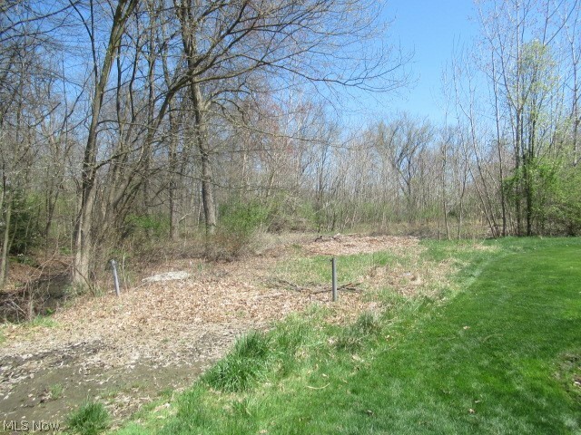 Vl Forest Brook Drive  Akron OH 44321 photo
