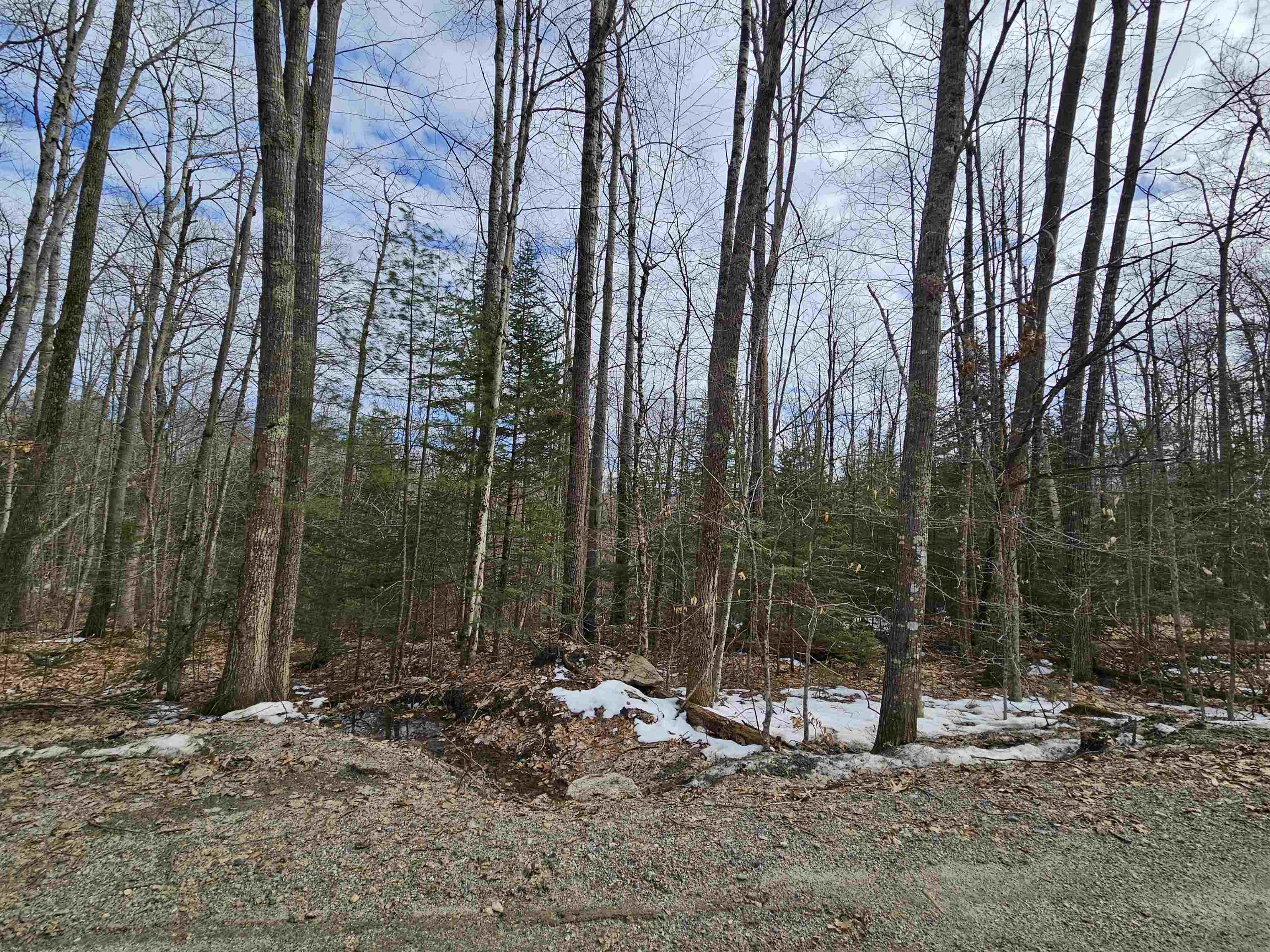 Property Photo:  Lot 90 Faraway Road  NH 03598 