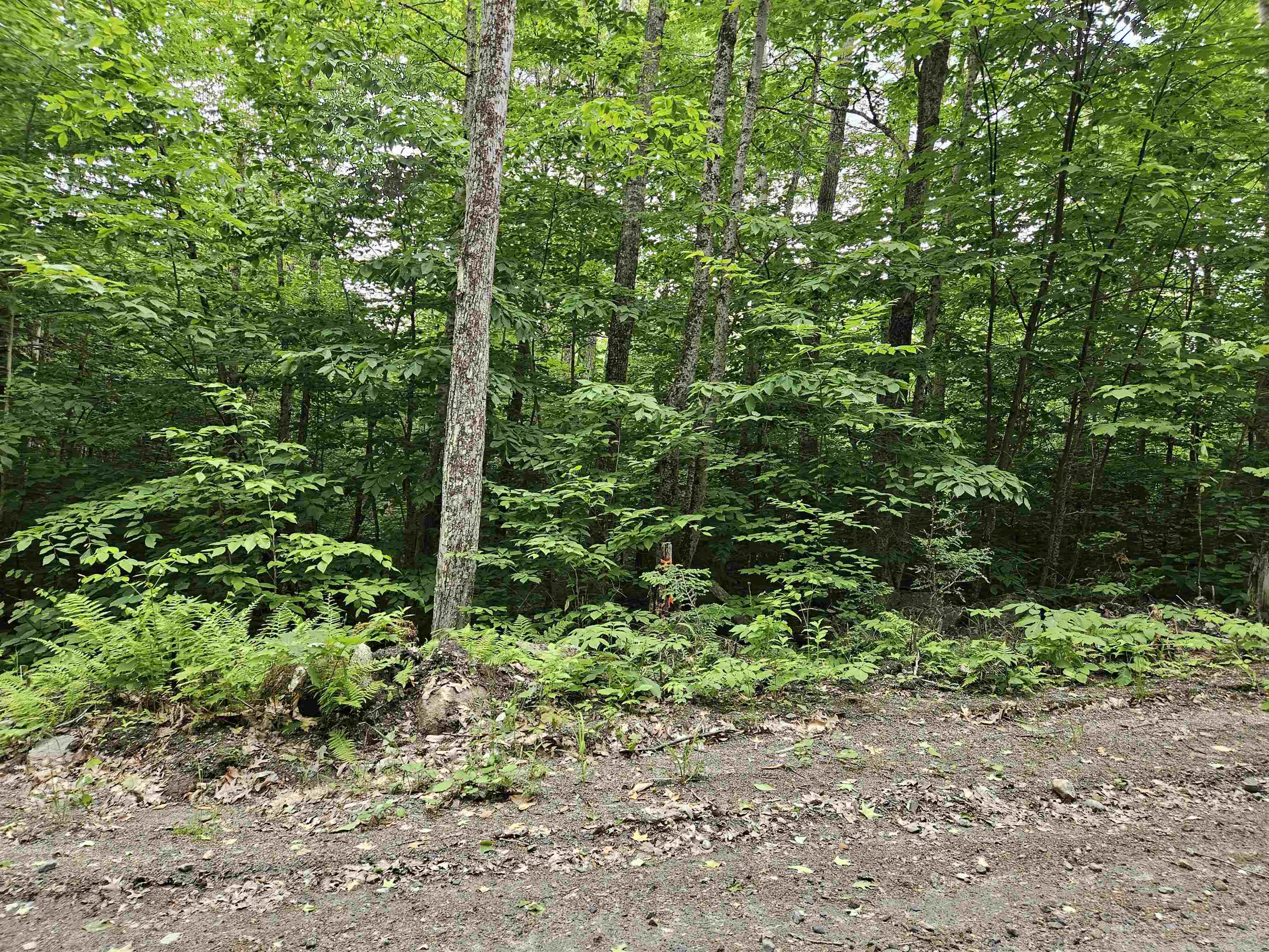 Property Photo:  Lot 90 Faraway Road  NH 03598 