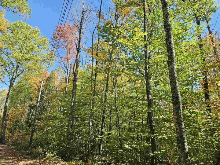 Property Photo:  Lot 90 Faraway Road  NH 03598 