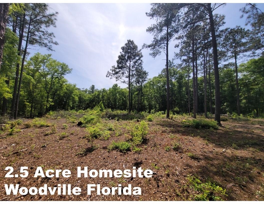 Property Photo:  Tract E Lutterloh Road  FL 32305 