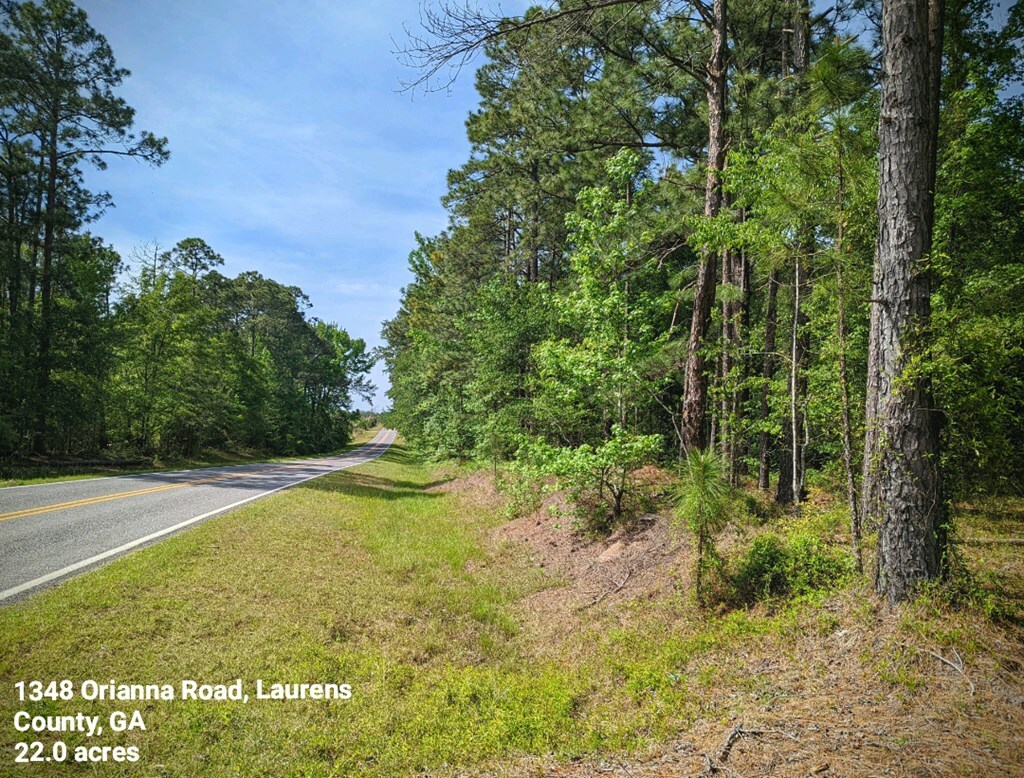 Property Photo:  1348 Orianna Road  GA 30454 