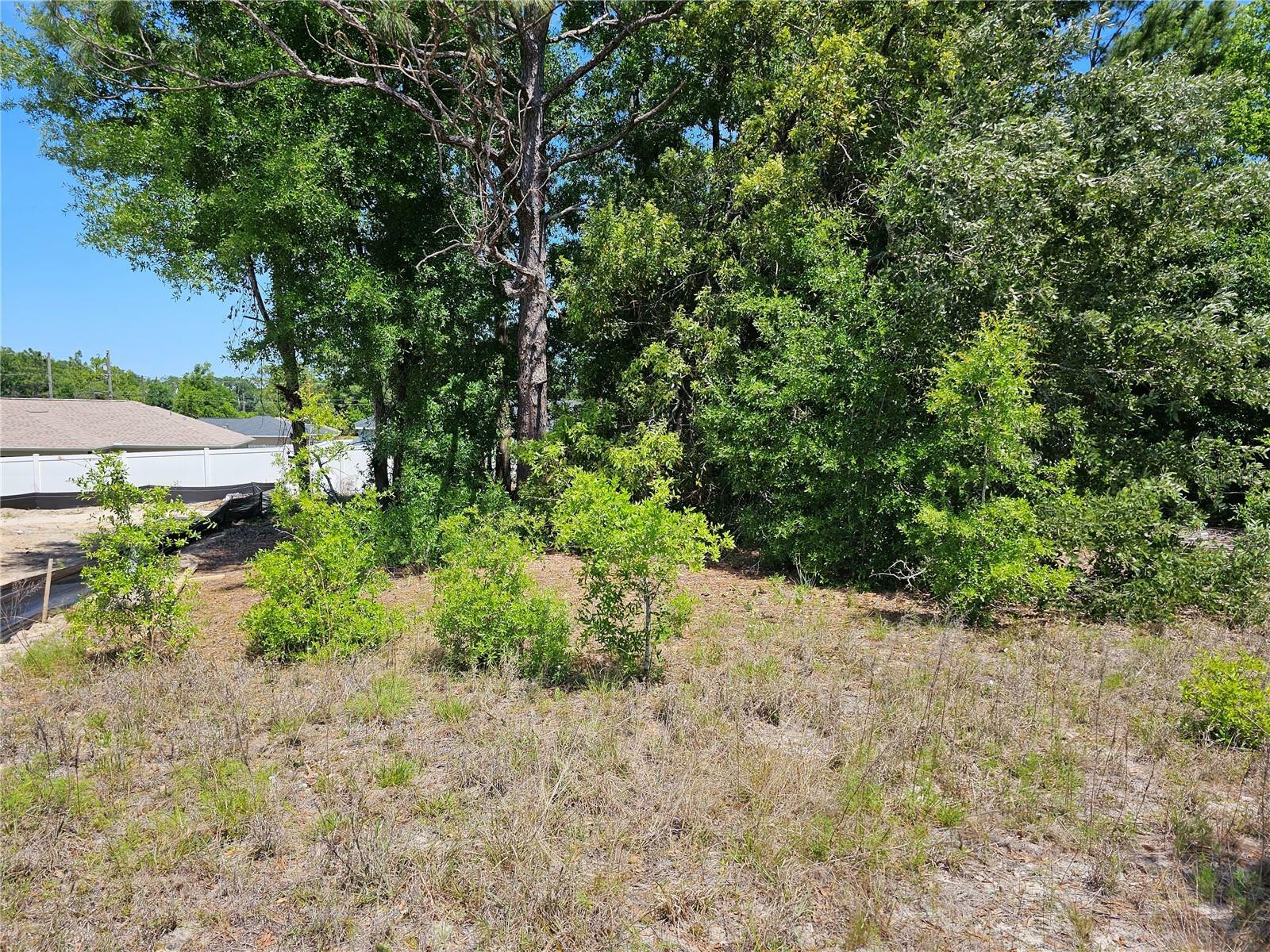 Property Photo:  0 SE 152nd Place  FL 34491 