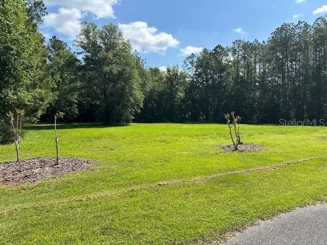 Property Photo:  Parcel 3 SW 128th Road  FL 32697 