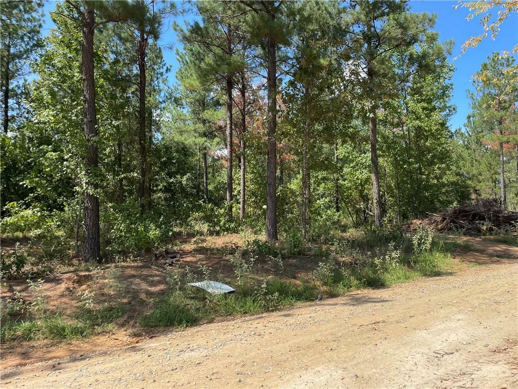 Property Photo:  51 Cedar Hills Trail  OK 74728 