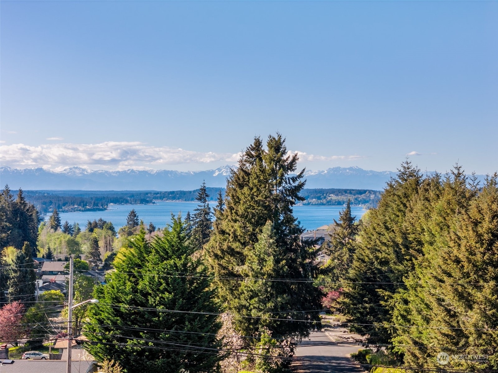 Property Photo:  4203 Olympic Boulevard W  WA 98466 