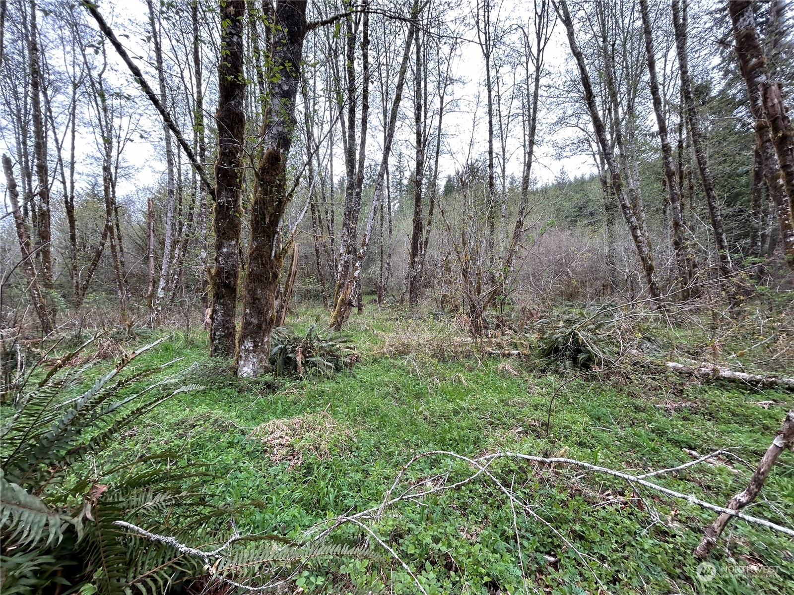 Property Photo:  0 Lot 3  Abernathy Creek Road  WA 98632 