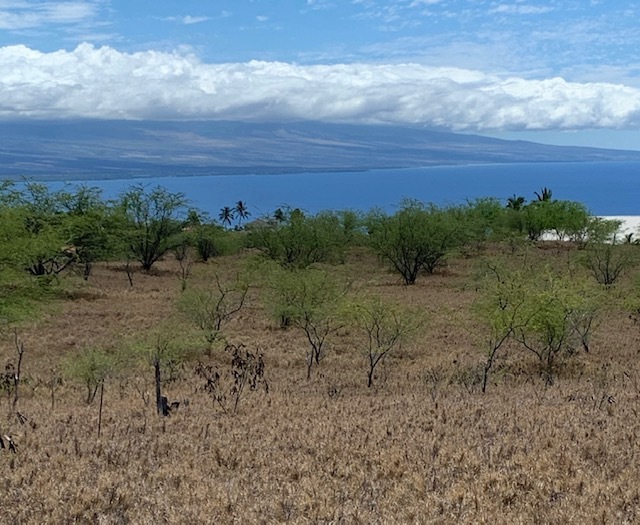 Property Photo: 59-229 Olomana Rd HI 96743