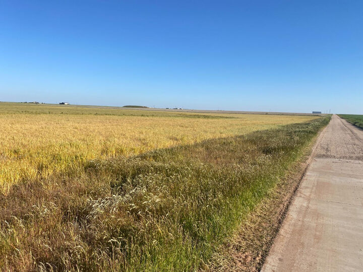 Property Photo:  0 Private Road 1420  TX 79382 