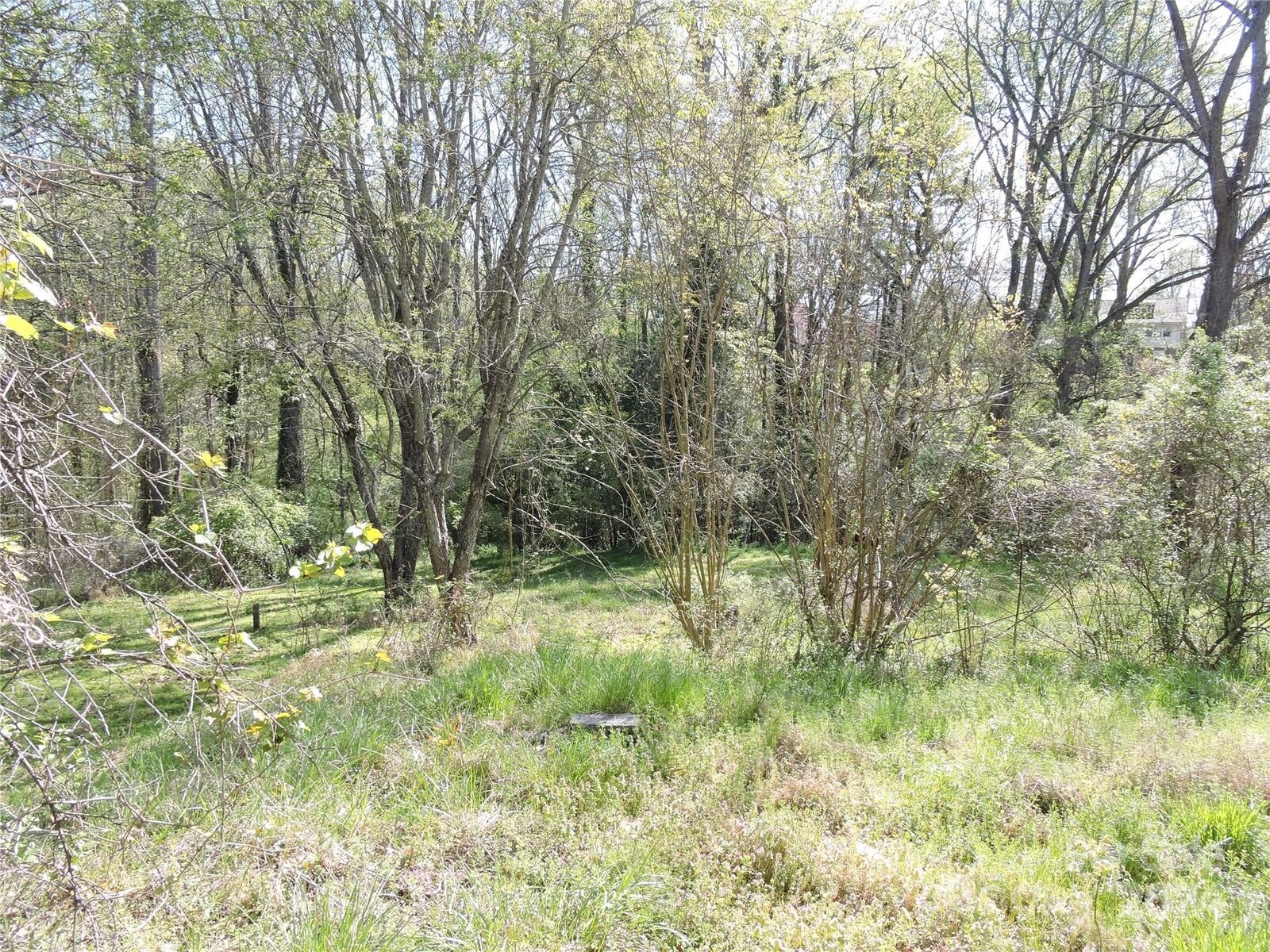 Property Photo: 41 Argyle Lane NC 28806