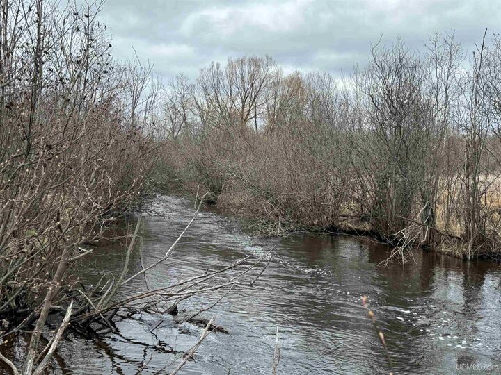 Tbd McGillis Avenue  Caspian MI 49915 photo