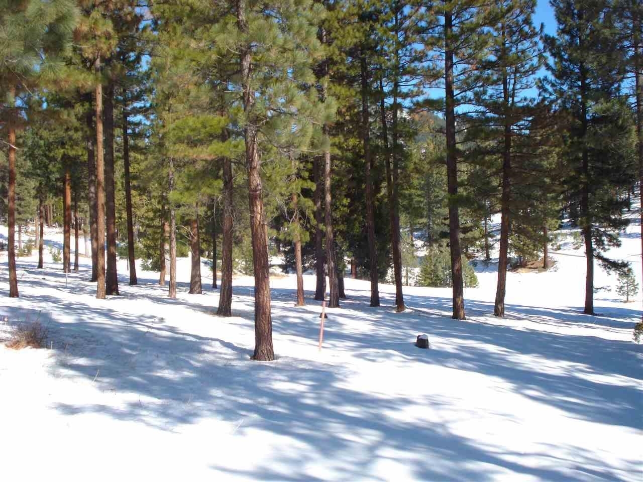 Property Photo:  360 Big Grizzly Road  CA 96122 