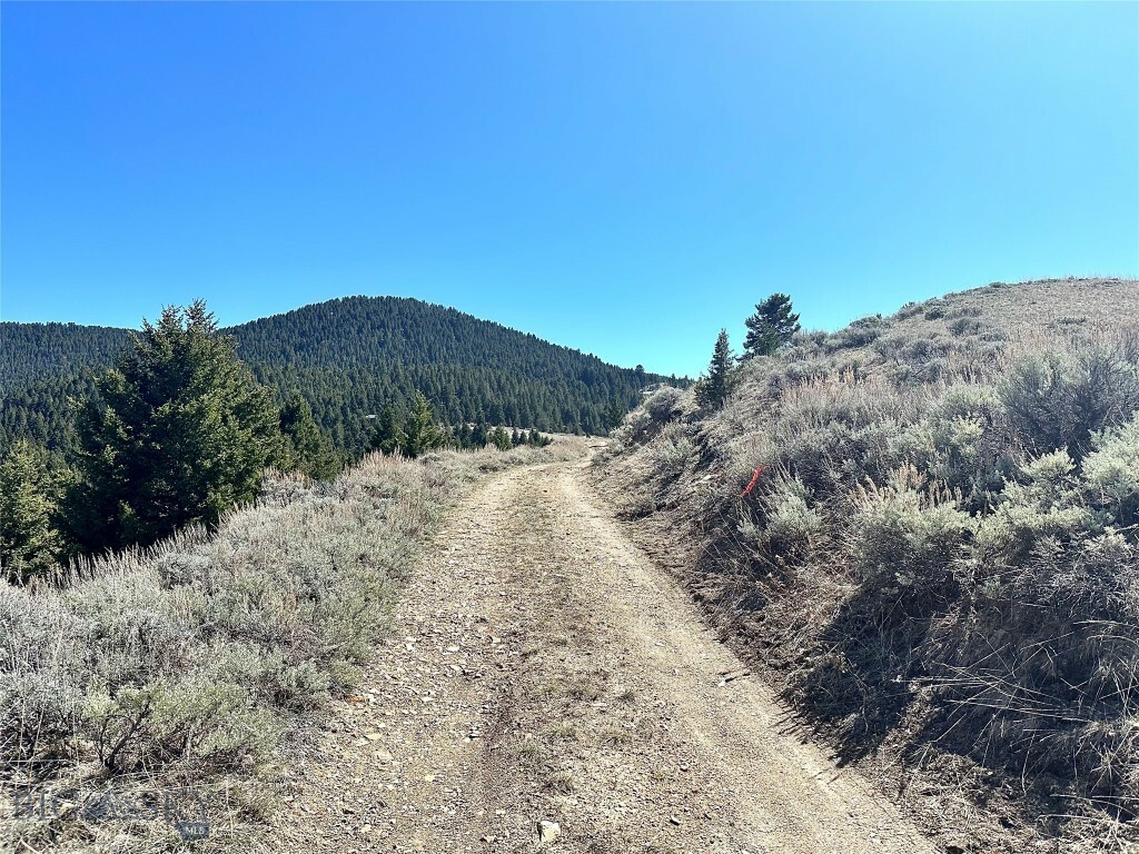 Property Photo:  Lot 429 Tbd Skyline Road  MT 59752 