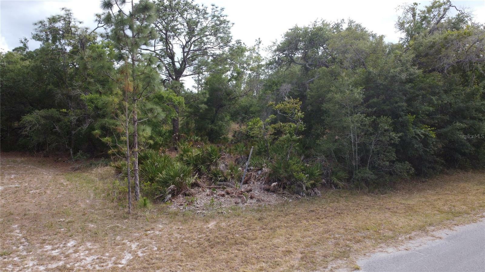 Property Photo:  0 Plumosa Drive  FL 33855 